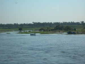 Water hyacinth control keeps the Nile flowing and available to animals and people