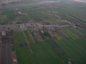 It's an interesting patchwork of habitats and a challenge to dispersal